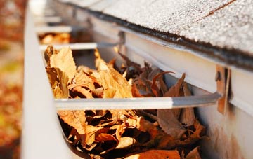 Panpunton gutter cleaning companies