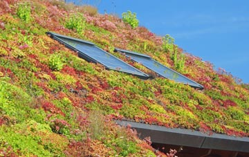 Panpunton living roof systems