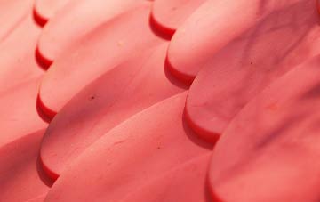 Panpunton plastic roof costs
