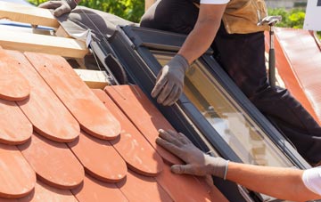 replacement Panpunton roof windows