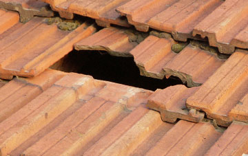 roof repair Panpunton, Powys