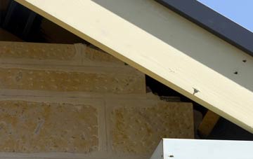 soffit repair Panpunton