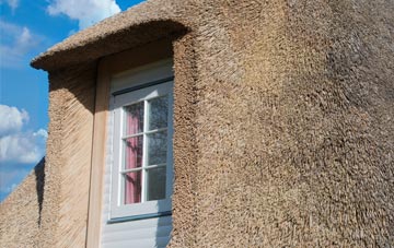 Panpunton thatch roof disadvantages