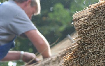 professional Panpunton thatchers