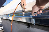free Panpunton fascia quotes