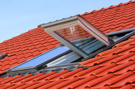 Panpunton roof window