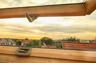 rated Panpunton roof window companies