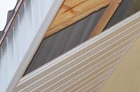 rated Panpunton soffit repair companies